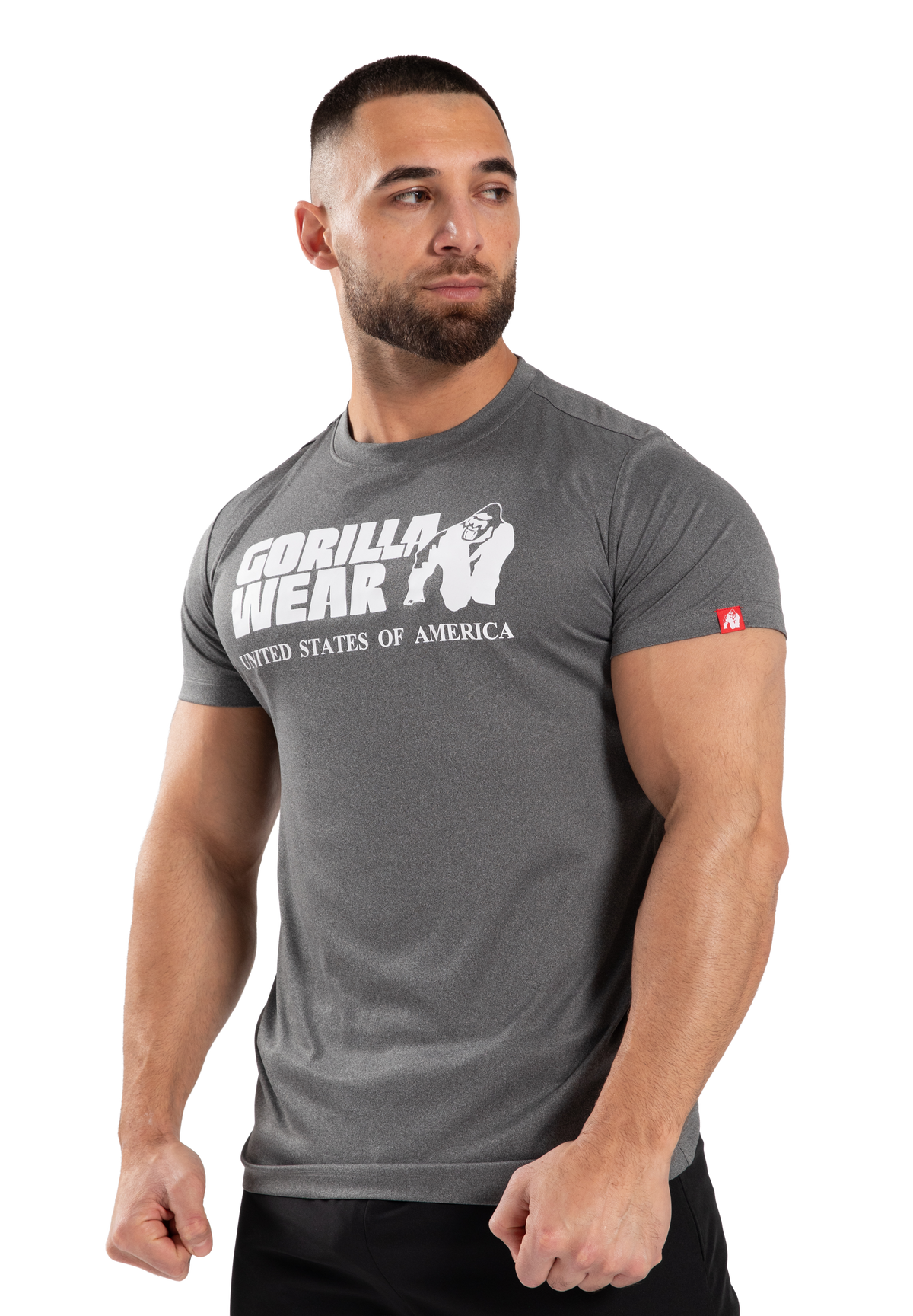 Gorilla Wear Classic Training T-Shirt T-Shirt & Tops Gray Melange