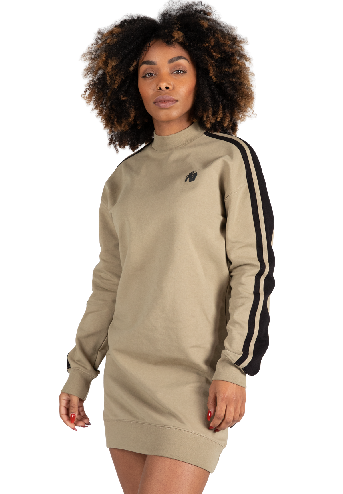 Isabella Sweatshirt Dress
