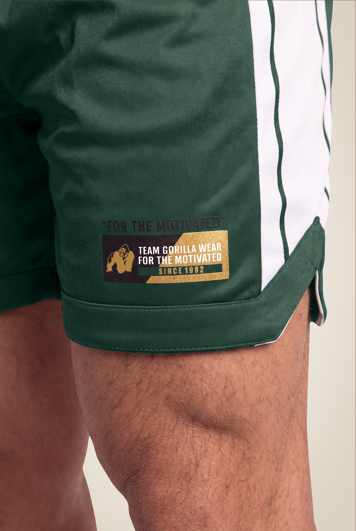Gorilla Wear Orlando Shorts Shorts Green